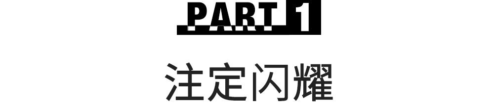 _红垂野岸樱还熟_垂铃了6号红核桃苗价格