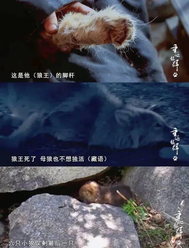 _28亿次播放：她这段感情，后劲越来越猛_28亿次播放：她这段感情，后劲越来越猛