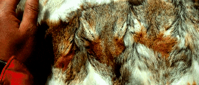 28亿次播放：她这段感情，后劲越来越猛__28亿次播放：她这段感情，后劲越来越猛