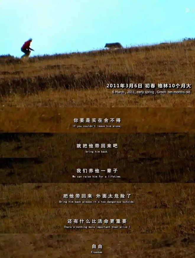 _28亿次播放：她这段感情，后劲越来越猛_28亿次播放：她这段感情，后劲越来越猛