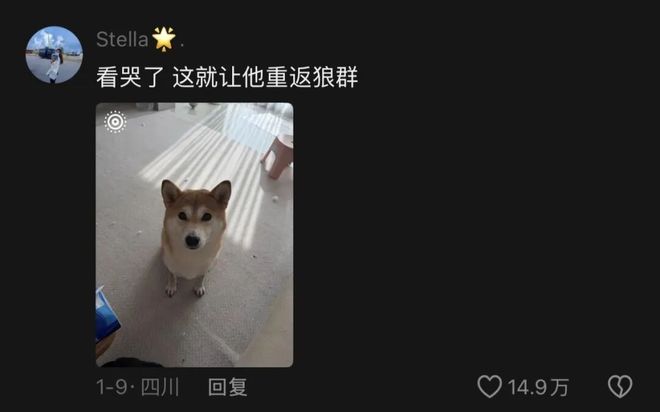 28亿次播放：她这段感情，后劲越来越猛_28亿次播放：她这段感情，后劲越来越猛_