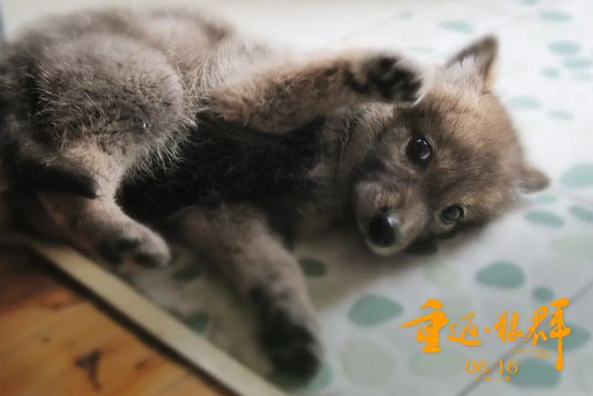 28亿次播放：她这段感情，后劲越来越猛__28亿次播放：她这段感情，后劲越来越猛