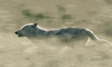 28亿次播放：她这段感情，后劲越来越猛__28亿次播放：她这段感情，后劲越来越猛