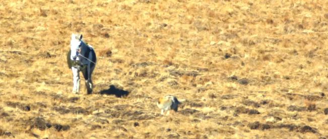 _28亿次播放：她这段感情，后劲越来越猛_28亿次播放：她这段感情，后劲越来越猛