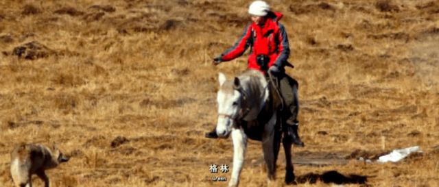 28亿次播放：她这段感情，后劲越来越猛_28亿次播放：她这段感情，后劲越来越猛_