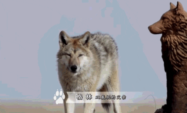 _28亿次播放：她这段感情，后劲越来越猛_28亿次播放：她这段感情，后劲越来越猛