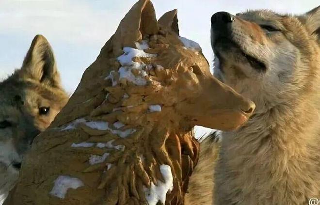 _28亿次播放：她这段感情，后劲越来越猛_28亿次播放：她这段感情，后劲越来越猛