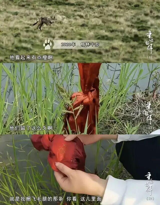 _28亿次播放：她这段感情，后劲越来越猛_28亿次播放：她这段感情，后劲越来越猛