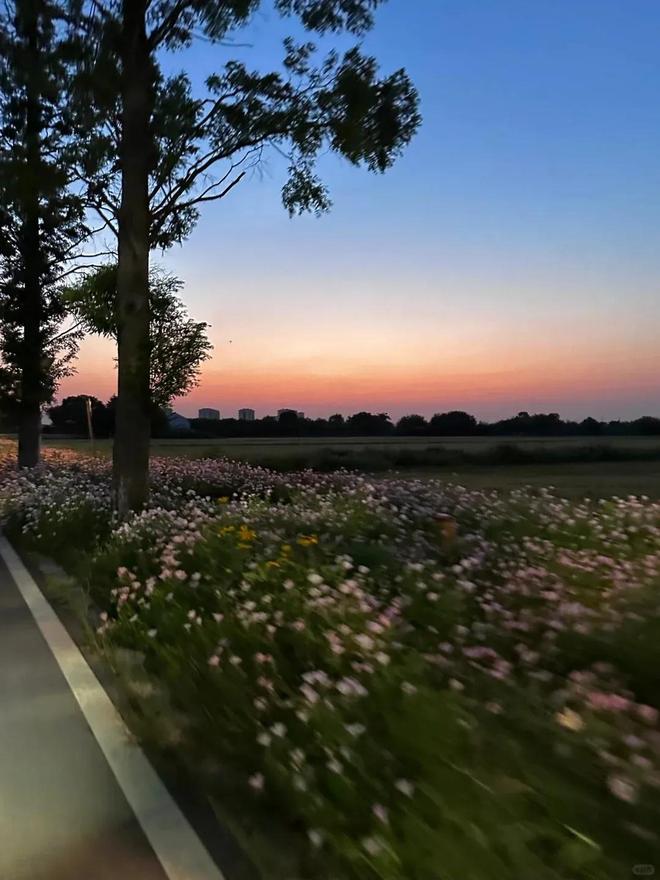 朝暮皆有景，在长三角示范区捕捉日出日落之美_朝暮皆有景，在长三角示范区捕捉日出日落之美_