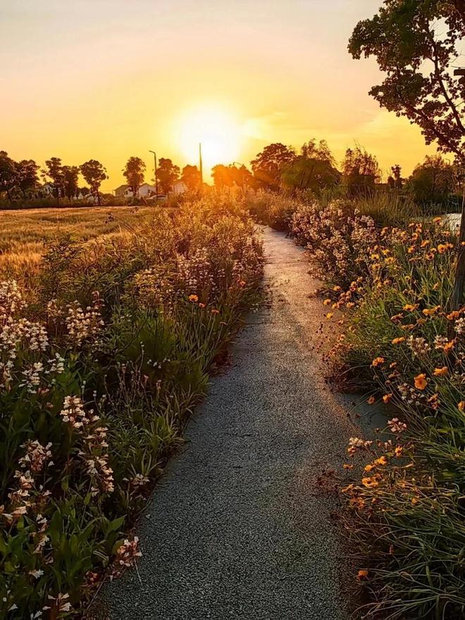 _朝暮皆有景，在长三角示范区捕捉日出日落之美_朝暮皆有景，在长三角示范区捕捉日出日落之美