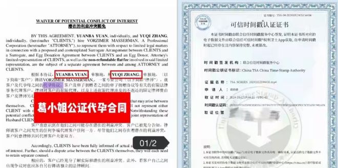 张雨绮凉透实锤！葛晓倩隐忍8年，杨天真沉默藏猫腻__张雨绮凉透实锤！葛晓倩隐忍8年，杨天真沉默藏猫腻