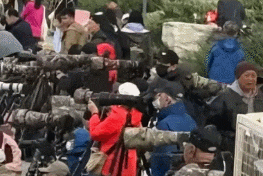 沈月拿下B站百大，李现暴走18公里：明星“抢博主饭碗”的时代来了？__沈月拿下B站百大，李现暴走18公里：明星“抢博主饭碗”的时代来了？