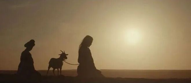 霸榜热搜，尺度惊人，他绝对值得你追