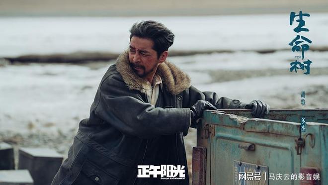 _播放杨紫演的戏_扮演杨紫