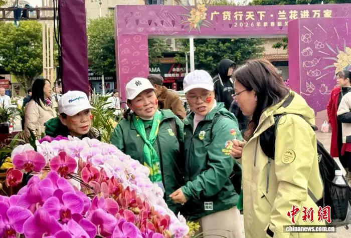 广货出海记:一缕岭南味,万里故园情