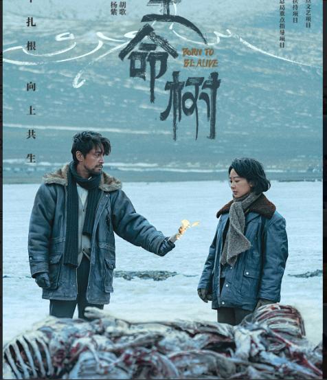 _胡歌追过杨幂吗_胡歌和杨紫演的电视剧