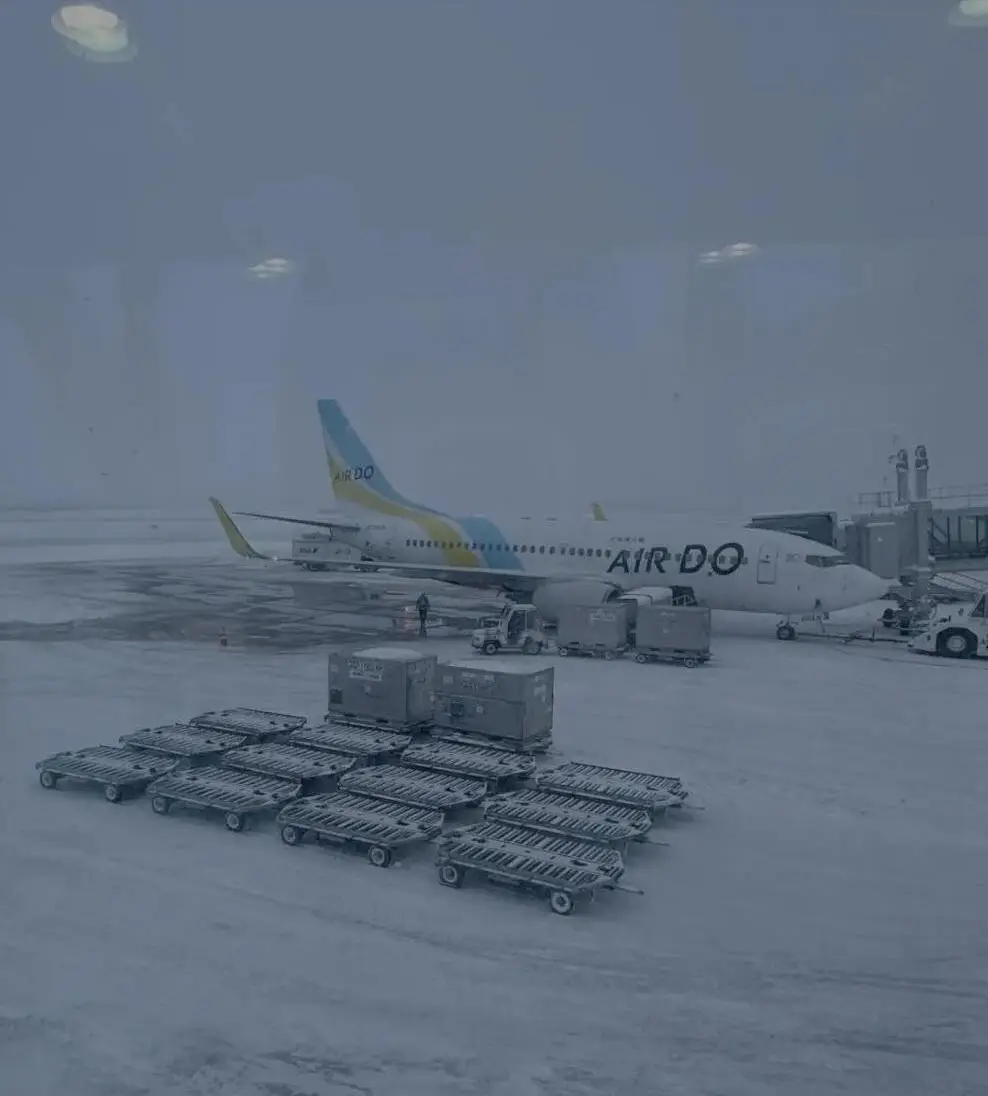 _自讨苦吃！国家早发提醒却无视，如今雪封城，数千游客被滞留日本_自讨苦吃！国家早发提醒却无视，如今雪封城，数千游客被滞留日本