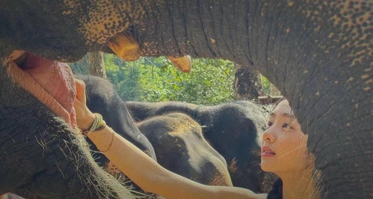 遗传得真好，已经18岁的黄多多打扮成熟，与妈妈一样一见误终身__遗传得真好，已经18岁的黄多多打扮成熟，与妈妈一样一见误终身