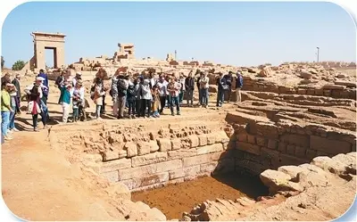 中埃联合考古成果丰硕