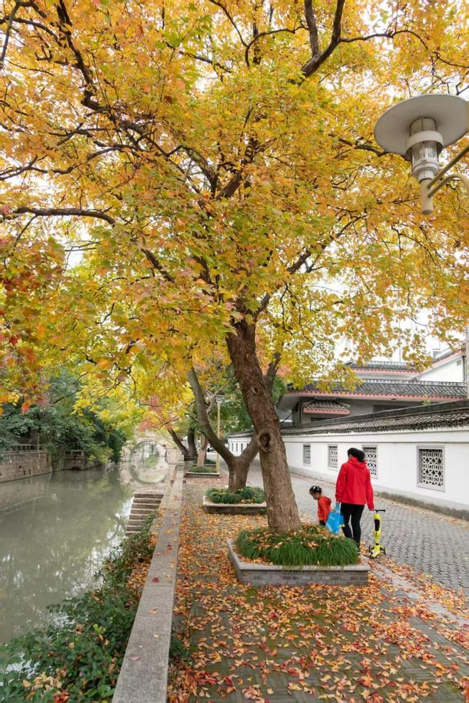 _上海古镇文化_古镇上海