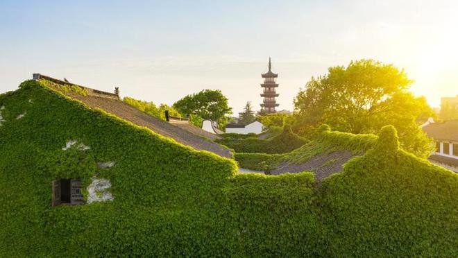 _古镇上海_上海古镇文化