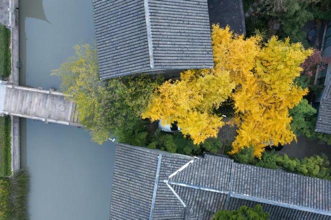 上海古镇文化_古镇上海_