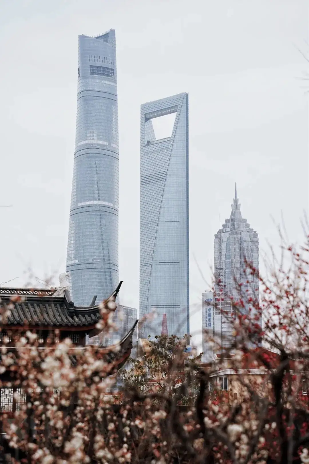 梅花上海__2021上海梅花