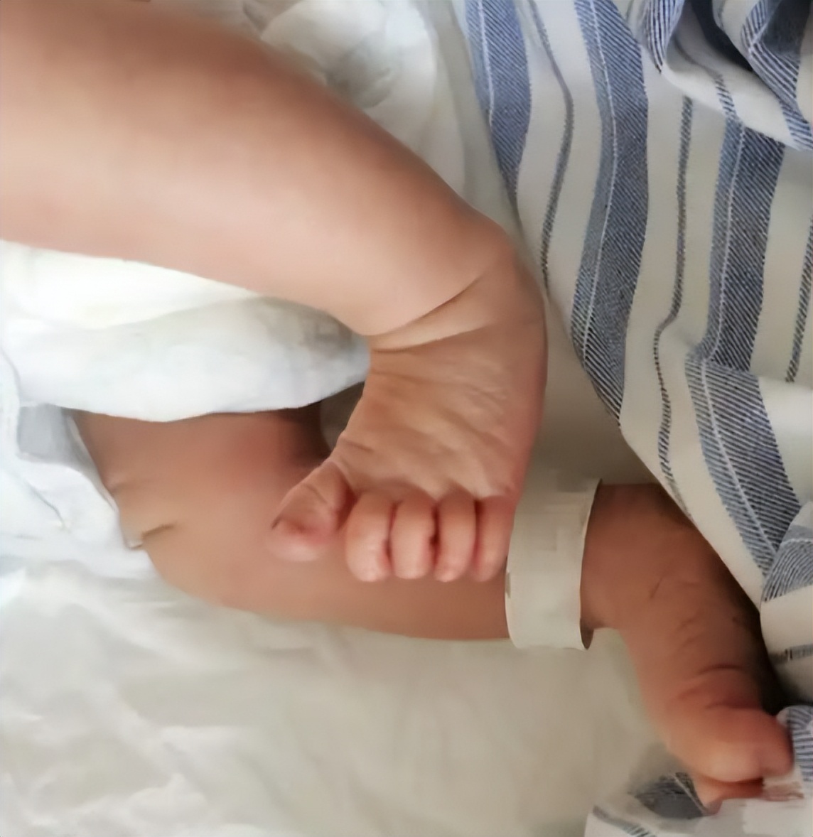 _白萝卜蒸肉的做法大全_古代中国学前教育