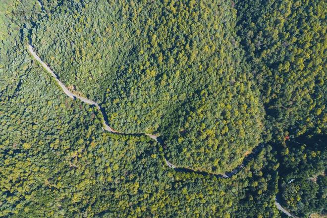 大理寺庙叫什么名字__大理寺寺