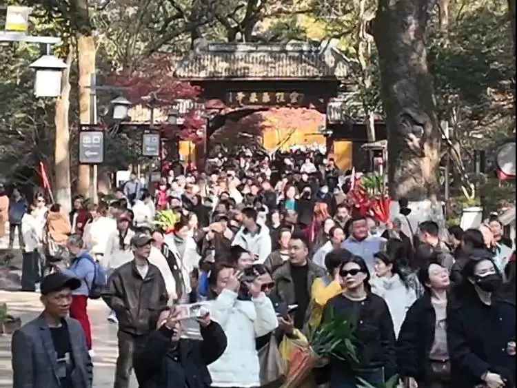 _灵隐寺被38万“鸽王”上了一课！景区免费不是“白嫖”名额的借口_灵隐寺被38万“鸽王”上了一课！景区免费不是“白嫖”名额的借口
