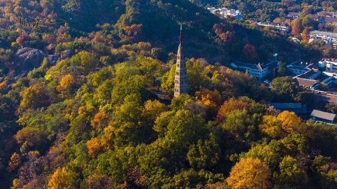 _电视剧《太平年》：吴越经济如何在东南一隅能抗衡南唐数十年？_电视剧《太平年》：吴越经济如何在东南一隅能抗衡南唐数十年？