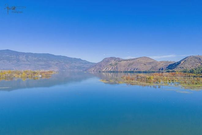 茈碧湖的最美观景台就在马路边,不仅视野开阔,还有各种水鸟出没