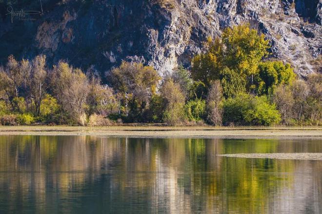 茈碧湖的最美观景台就在马路边，不仅视野开阔，还有各种水鸟出没_茈碧湖的最美观景台就在马路边，不仅视野开阔，还有各种水鸟出没_