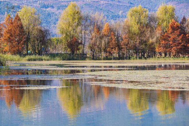 茈碧湖的最美观景台就在马路边，不仅视野开阔，还有各种水鸟出没_茈碧湖的最美观景台就在马路边，不仅视野开阔，还有各种水鸟出没_
