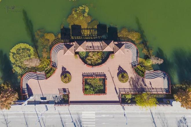 _茈碧湖的最美观景台就在马路边，不仅视野开阔，还有各种水鸟出没_茈碧湖的最美观景台就在马路边，不仅视野开阔，还有各种水鸟出没