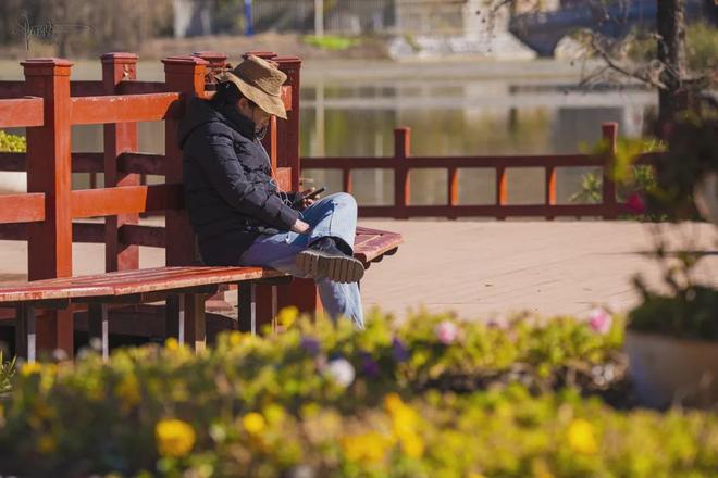 茈碧湖的最美观景台就在马路边，不仅视野开阔，还有各种水鸟出没__茈碧湖的最美观景台就在马路边，不仅视野开阔，还有各种水鸟出没