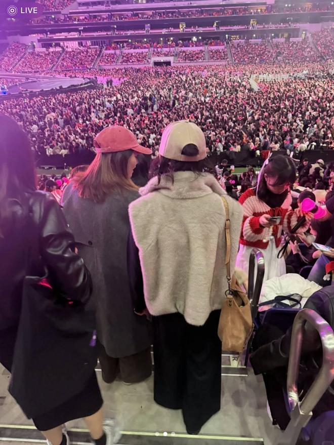 福利迷低调收藏__迷弟迷妹是什么意思