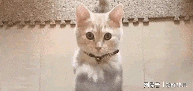 _何洁冤种前夫演《太平年》爆红，演技惊艳男主_何洁冤种前夫演《太平年》爆红，演技惊艳男主