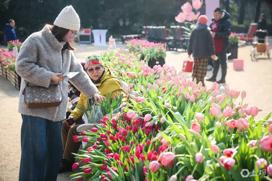 _上海过年了_上海过年没意思