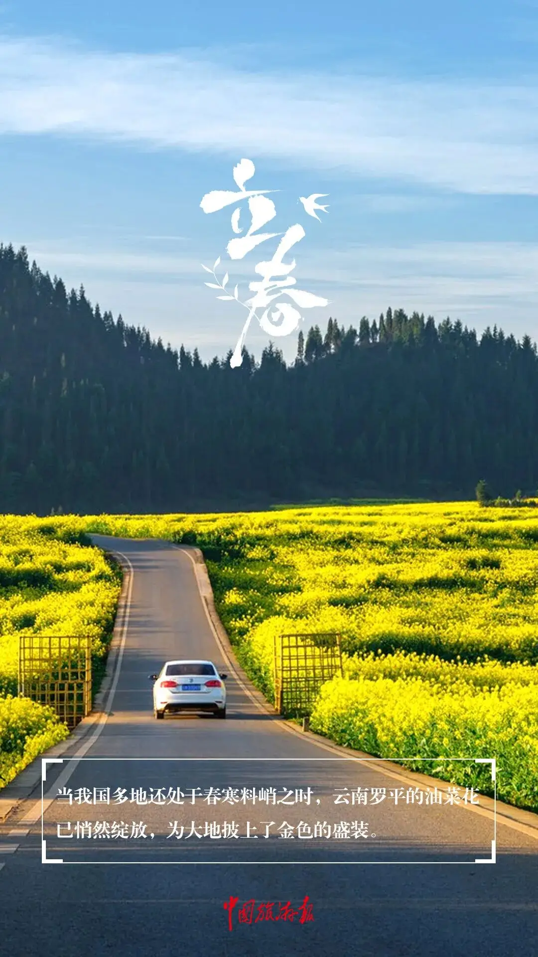 立春一日，百草回芽