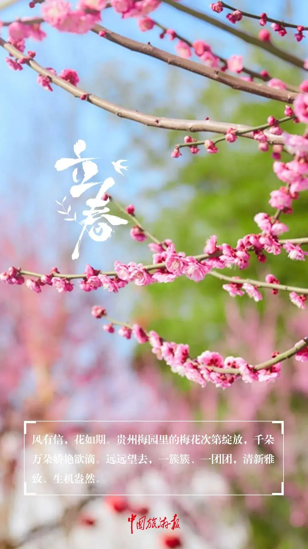 _立春一日百草回芽东风解冻_百草回芽的意思