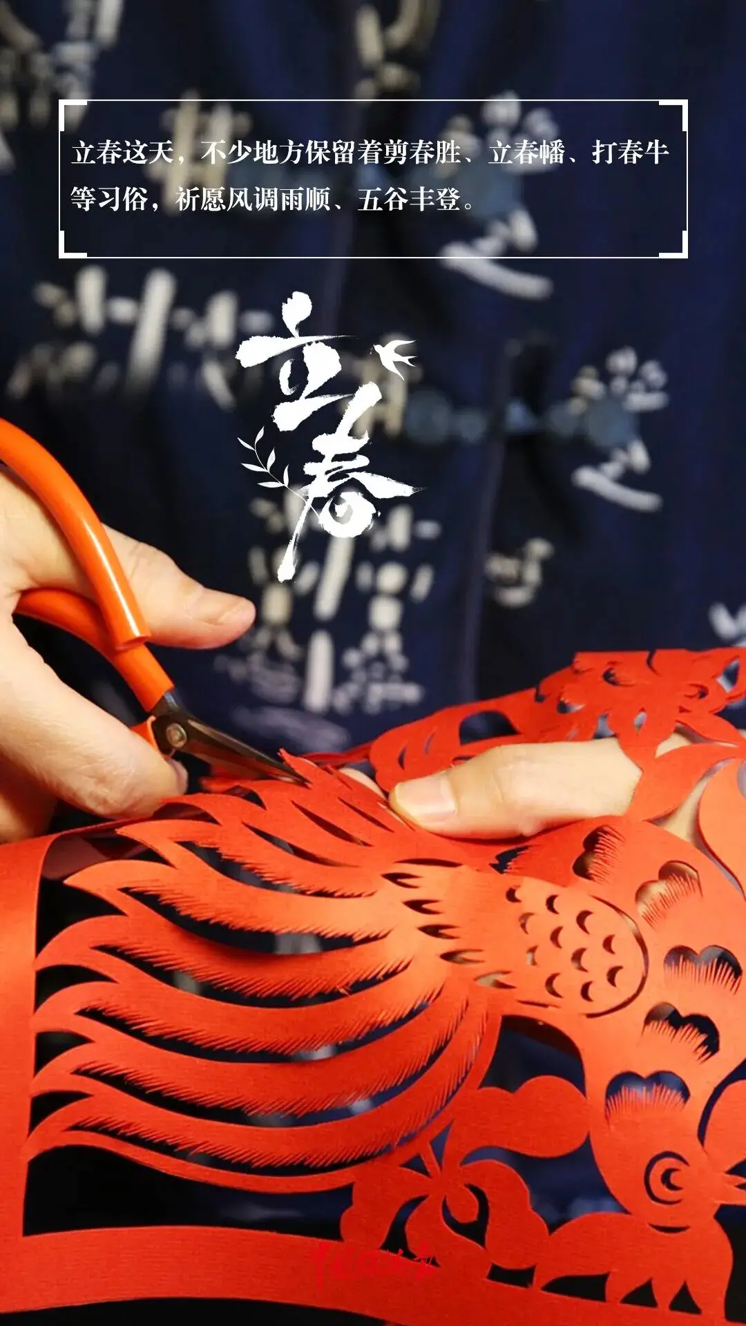 _立春一日百草回芽东风解冻_百草回芽的意思