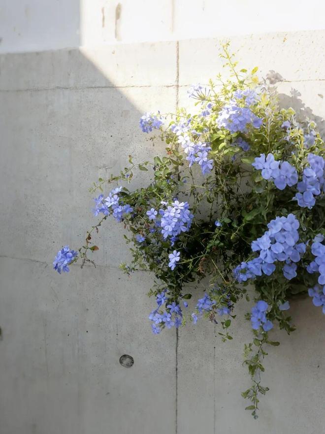 _9图出片率超高_旧物利用环保裙子