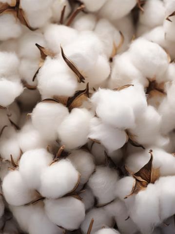 9图出片率超高__旧物利用环保裙子