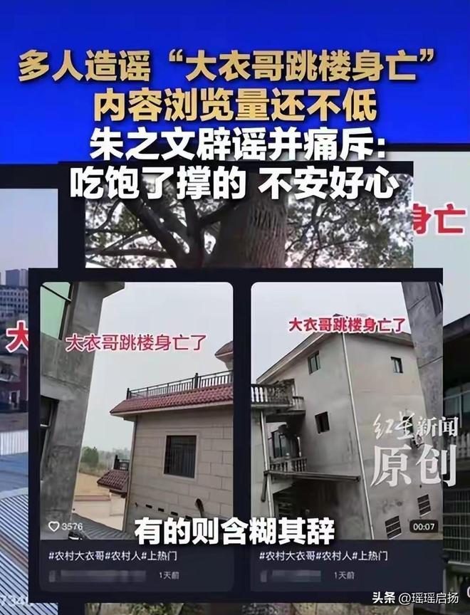 凤凰少女跳楼真相调查__凤凰掉进鸡群