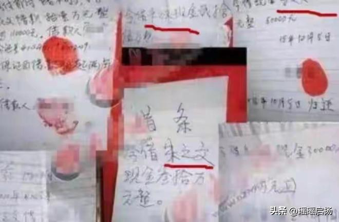 _凤凰掉进鸡群_凤凰少女跳楼真相调查