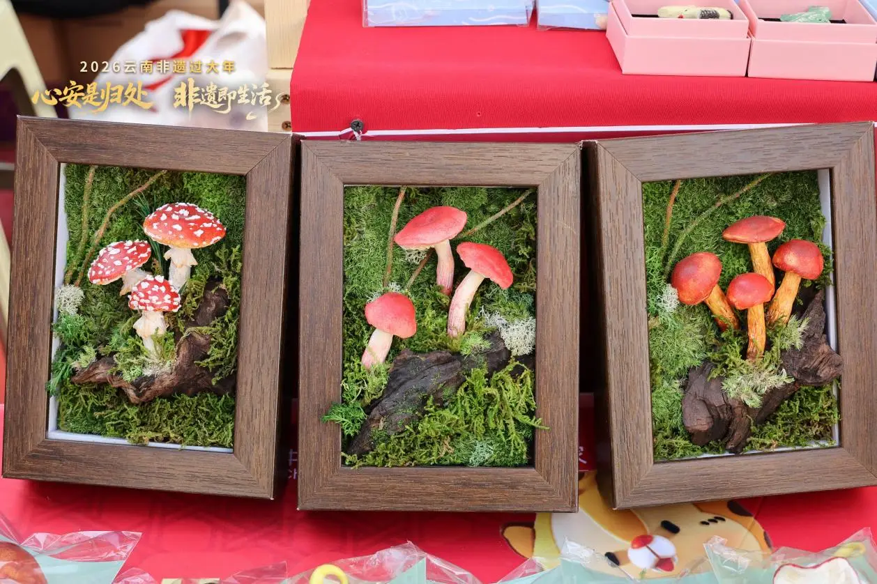 “非遗+旅居”，开启云南生活新体验