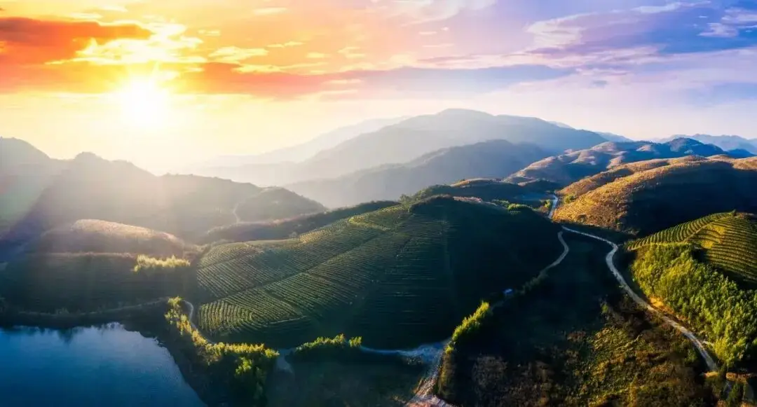 全景逛街__全景商店