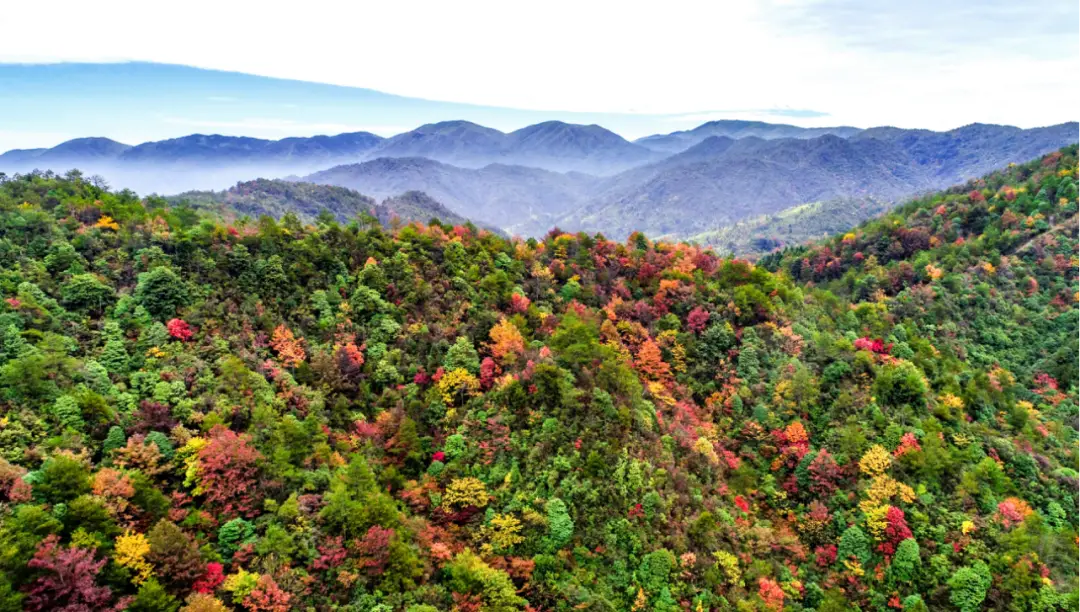 全景商店_全景逛街_