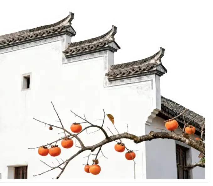 _全景商店_全景逛街